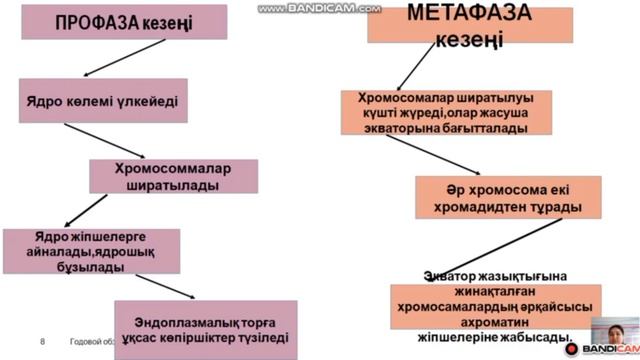Митоз / Нышанова Г.А. смотреть онлайн