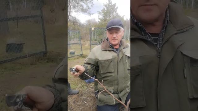 Обрезка садовых деревьев смотреть онлайн