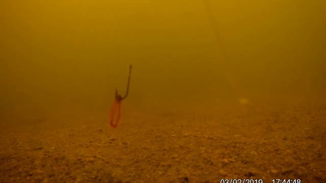 Клюет мелкая рыбешка златоустовка смотреть онлайн