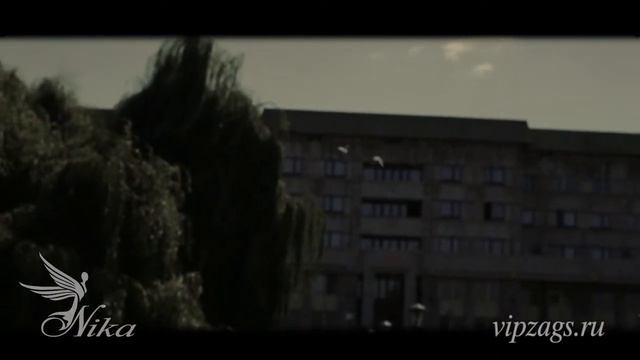 Выездная официальная регистрация брака в парке. смотреть онлайн