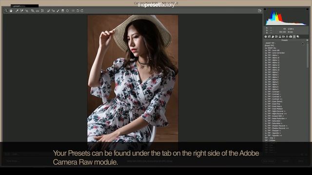 Using Presets in Photoshop Adobe Camera Raw смотреть онлайн