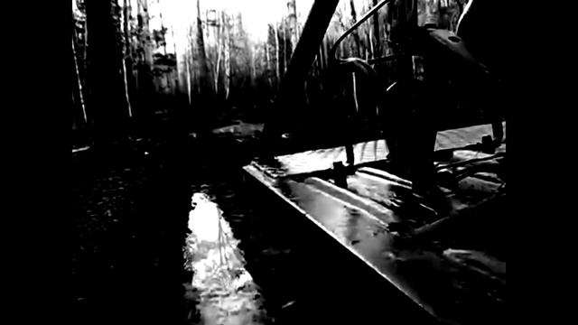 История на ночь - ЛЕСНИКИ