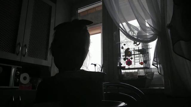 Что можно есть попугаям и последние новости смотреть онлайн