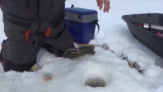 Рыбалка на Волге. Ловля белой рыбы в Хмелевке. Жор рыбы. Жерлицы. Снегоход. Шашлыки. Эхолот. смотреть онлайн