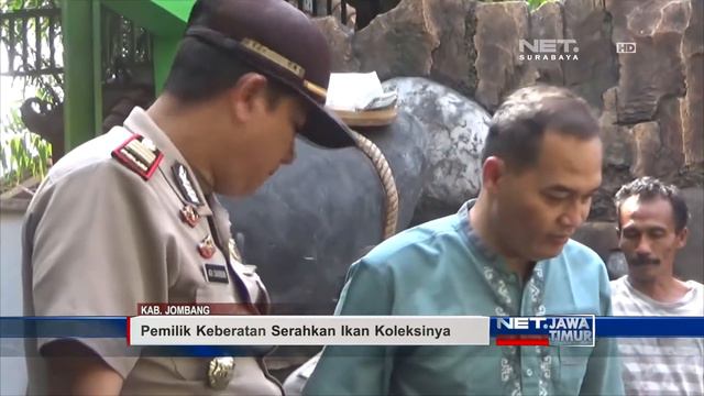 Polisi Datangi Kolektor Ikan Arapaima- NET. JATIM смотреть онлайн