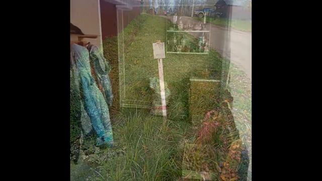 Проект Кунья смотреть онлайн