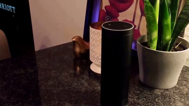 Setting Up Amazon Echo for First Demo смотреть онлайн