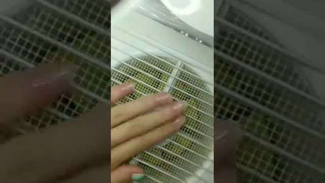 мастер класс ПИЛОЧНЫЙ МАНИКЮР и покрытие гель лак СВЕТООТРАЖАЮЩИЙ смотреть онлайн
