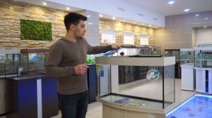 Аквариумы Биодизайн обзор