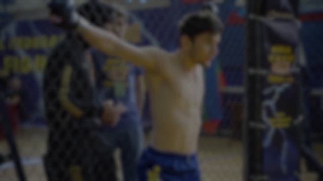 Приглашаем принять участие в Чемпионате и Первенстве Мира по MMA-Free Fighting, 24-25 июня 2023 год