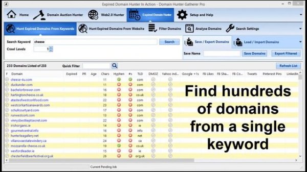 Expired Domain Hunter In Action - Domain Hunter Gatherer