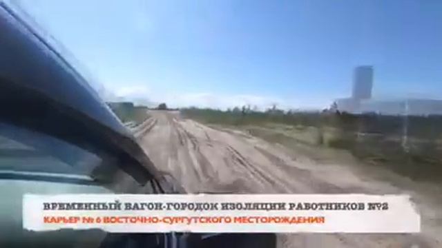 Сургут нефтегаз смотреть онлайн