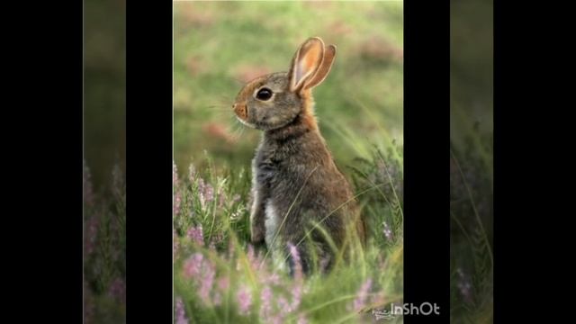 30 октября 2023 г. смотреть онлайн