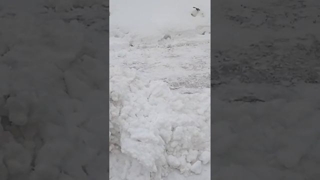 ОТВАЛ ДЛЯ МОТОБЛОКА смотреть онлайн