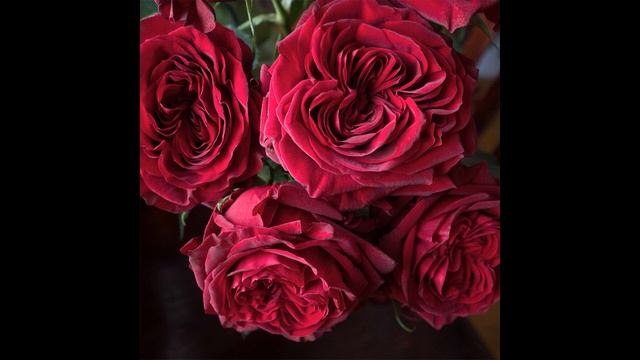 Мой заказ роз на весну в питомнике Элит №1. Розы премиум класса. смотреть онлайн