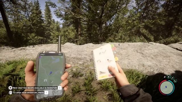 Sons of the Forest: The First 16 Minutes of Gameplay (Early Access) смотреть онлайн