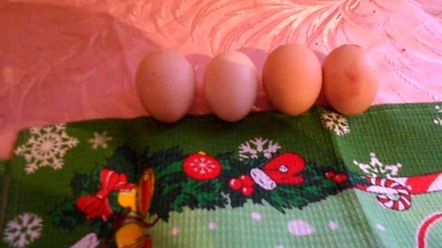 Отбор куриных и утиных яиц смотреть онлайн