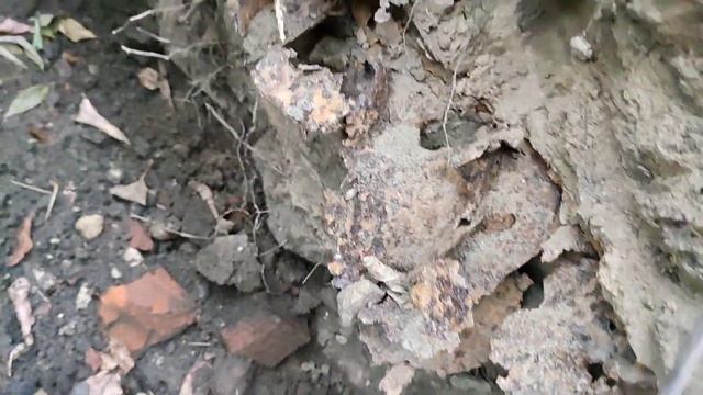 Золотая лихорадка, нашёл место добычи золота чёрных старателей #Tvell смотреть онлайн