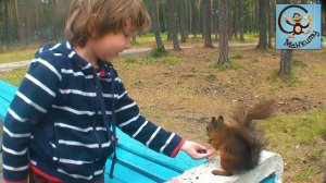 Челлендж (challenge) кормим белок. В этот раз не про машинки. МанкиТайм