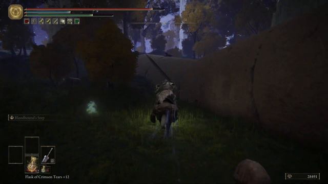 How To Get Marika's Scarseal Elden Ring смотреть онлайн