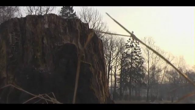 Panasonic NV-GS330 . test смотреть онлайн