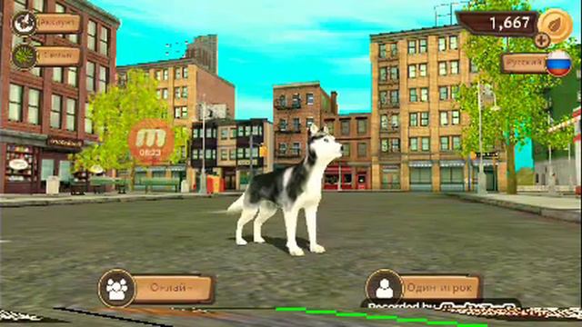 Бессмертный акк Dog Sim/cat Sim мой в том числе 😘😘😘😘😘😘😘😘😘😋