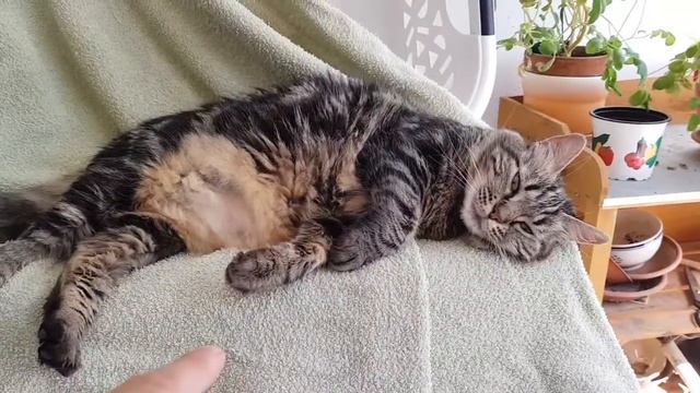 une bonne sieste смотреть онлайн