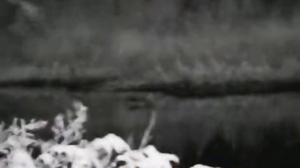 Китайский ПНВ Digital Night Vizion. Сьёмка в полной темноте.