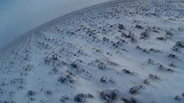 Охота на зайца 2016, два зайца соседа смотреть онлайн