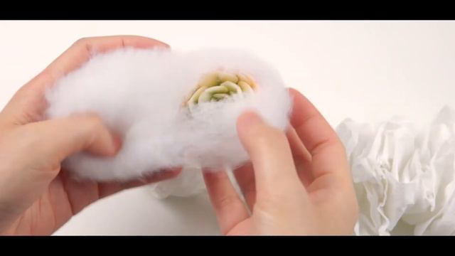 Unwrapping With Me | Love and Succulent 🧸💕 [Eng Sub] смотреть онлайн