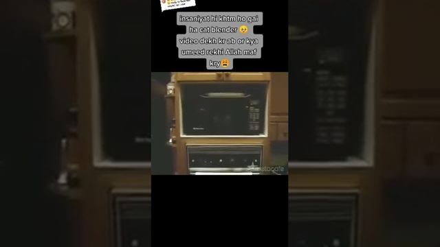 Cat Blender Full Video #viral