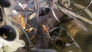 Как снять стартер на автомобиле Mercedes-Benz W210 2.3 111 мотор