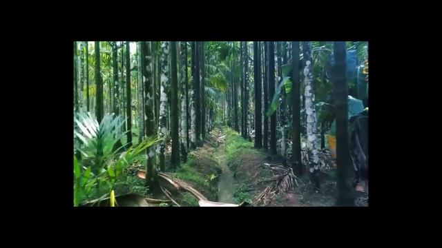 Meditation music | Sleep Meditation music | Relaxing and mind fresh music | Expanding Universe смотреть онлайн