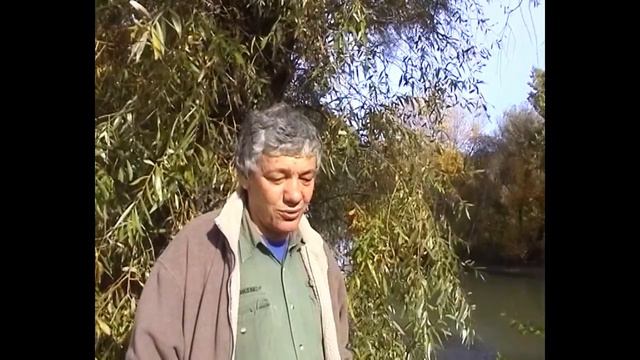 Абарбарчук Игорь. Слово о Романтике. смотреть онлайн