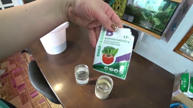 Лучшее в мире удобрение для рассады смотреть онлайн