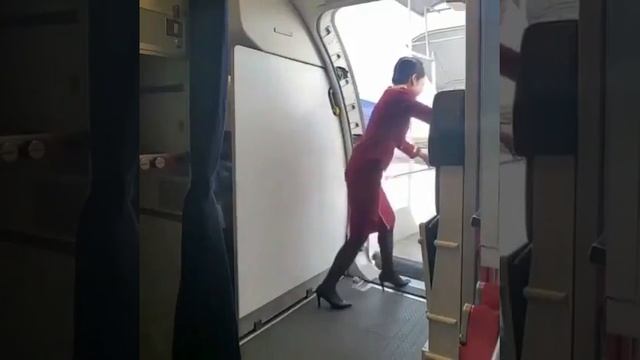 BOEING 737 DOOR CLOSING PROCEDURE смотреть онлайн