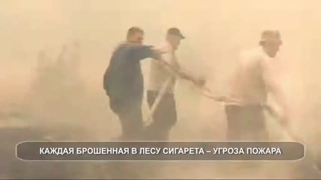 Брошенная в лесу сигарета угроза пожара смотреть онлайн