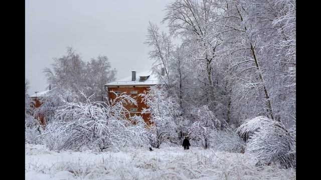 Бердск 2015. Городские фотозарисовки. Западная Сибирь, Новосибирская область, Россия смотреть онлайн