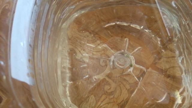 #Аквариум#Эксперимент по нересту #часть 3# заключительная #Обзор икры как и обещал# смотреть онлайн