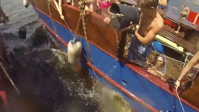 Todes Болгария Пираты смотреть онлайн