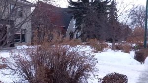 Какую провинцию лучше выбрать в Канаде ? Где в Канаде жить хорошо ? Иммиграция в Канаду. Альберта ?