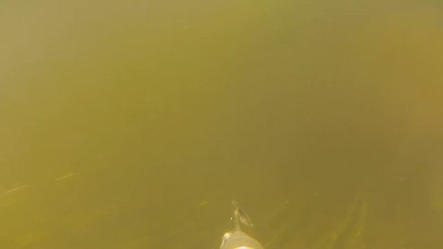 GOPR2151 смотреть онлайн