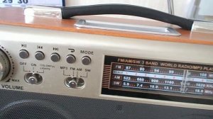 Обзор радиоприёмника DEXP RS 800