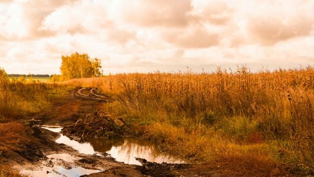 С.А. Есенин "Нивы сжаты, рощи голы". Житова Аня, 6 Д смотреть онлайн