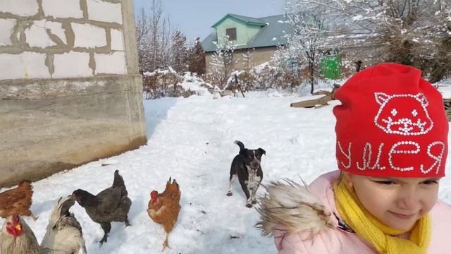 Впервые сыплю ферментационную подстилку смотреть онлайн