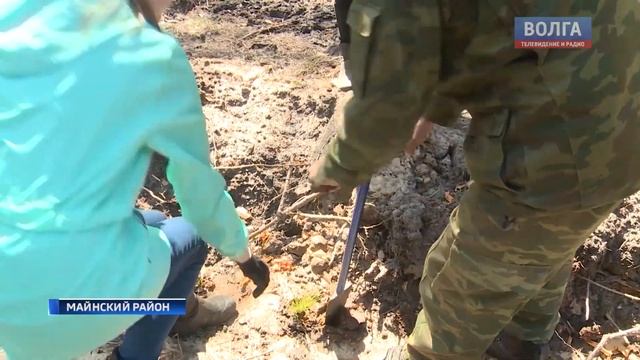 День леса в Ульяновской области_2019 смотреть онлайн