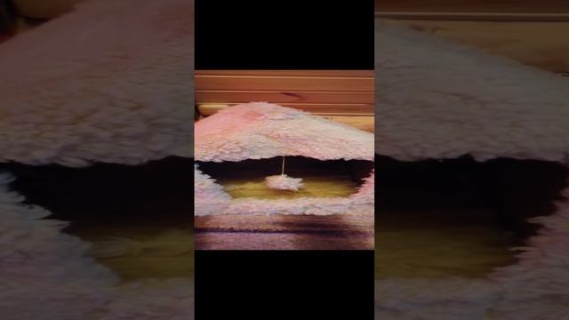 Пушистый и уютный домик для кошечки своими руками! смотреть онлайн