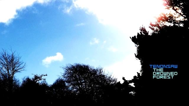 "The Drowned Forest" preview смотреть онлайн