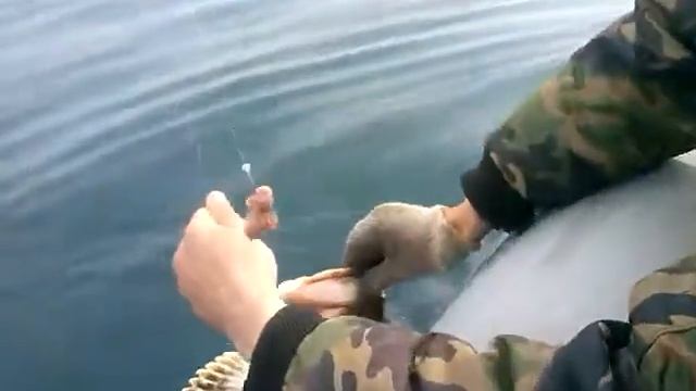 Бычки достали смотреть онлайн