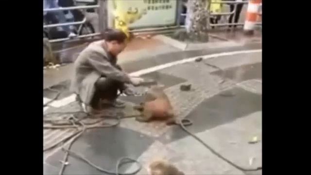 Astronomy meme|Танцы с гробами Негры танцуют с гробами смотреть онлайн